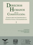 gallery/derechos-humanos-en-la-constitución-tomo-1